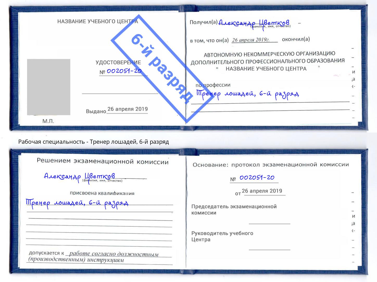корочка 6-й разряд Тренер лошадей Киржач