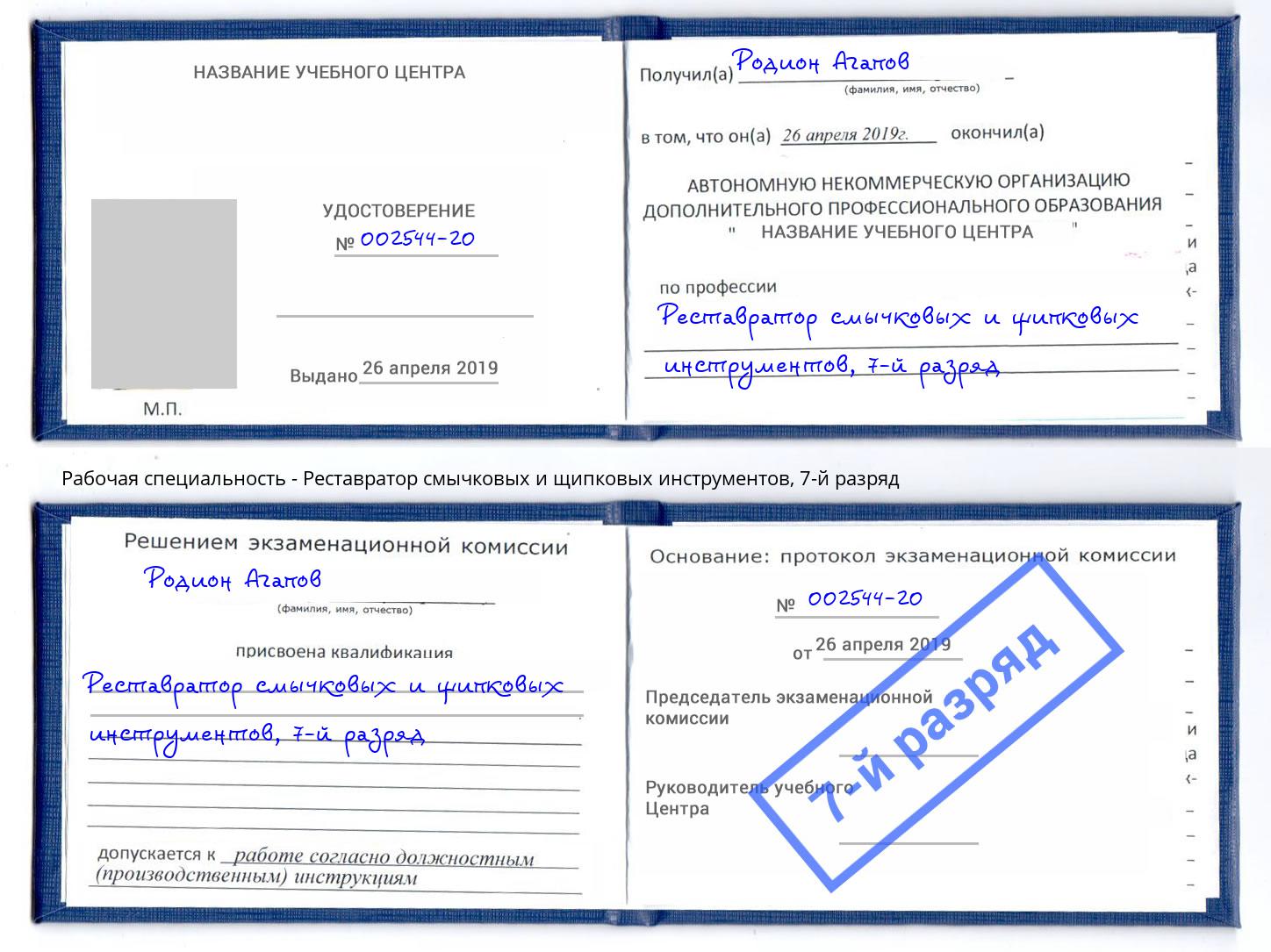 корочка 7-й разряд Реставратор смычковых и щипковых инструментов Киржач