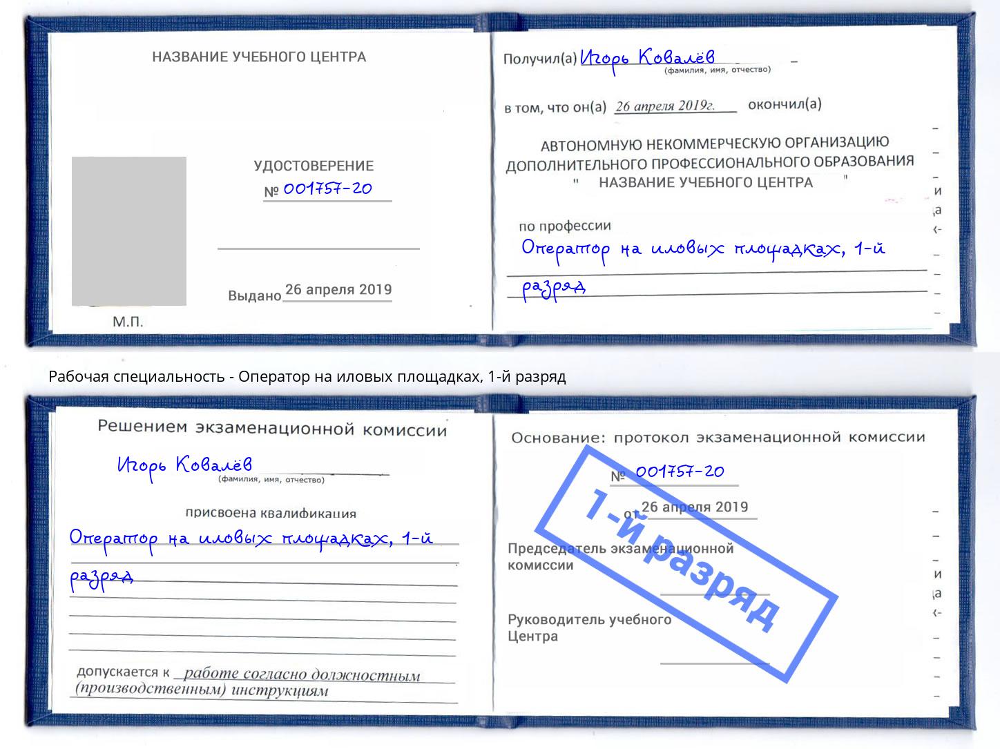 корочка 1-й разряд Оператор на иловых площадках Киржач
